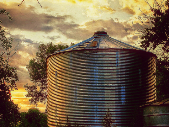 Grain Bin Safety
